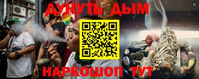 гашик Донской